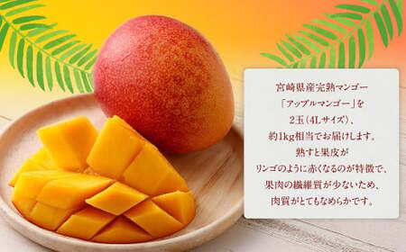 ＜宮崎県 完熟マンゴー4L×2玉 1kg＞2026年4月上旬～7月上旬までに順次出荷【c1163_hi_x2】 マンゴー 完熟 果物 くだもの フルーツ 高鍋町