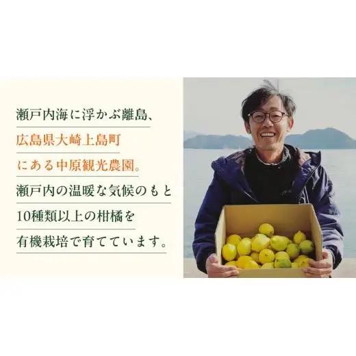 【 先行予約 】 瀬戸内 オーガニック 不知火 9kg+お試しオーガニックレモン1個 【2027年2月～3月発送】 有機JAS認証 有機栽培