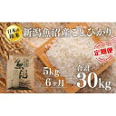 【ふるさと納税】【6カ月定期便】新潟魚沼産こしひかり（精米）5kg　定期便・ お米 米 コメ コシヒカリ 魚沼産