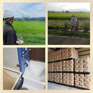 令和7年度産　上越市産つきあかり　5kg×6回定期便　新米　精米　新潟　米　新潟県　つきあかり　限定　定期便　おすすめ