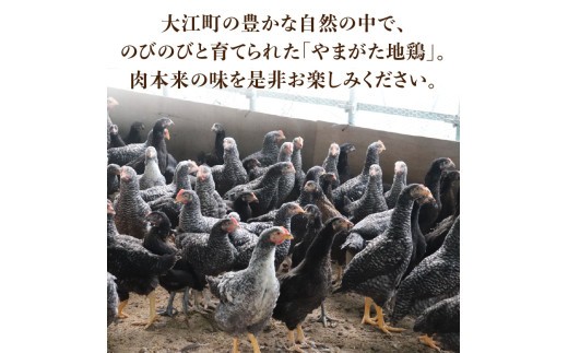 やまがた地鶏「モモ肉」 2袋