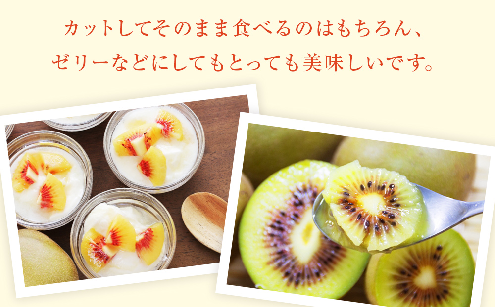 【先行予約】氷見産キウイ（レインボーレッド）1kg以上（12