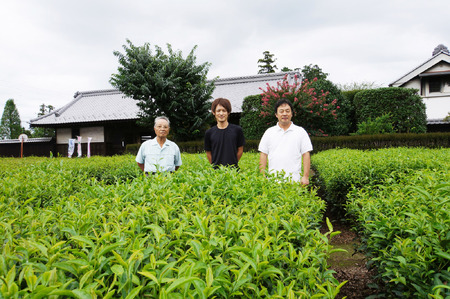 熟成栗で作った自家製「栗きんとん」８個＆古河のさしま茶「太郎兵衛」120ｇ×１袋_BF07◇