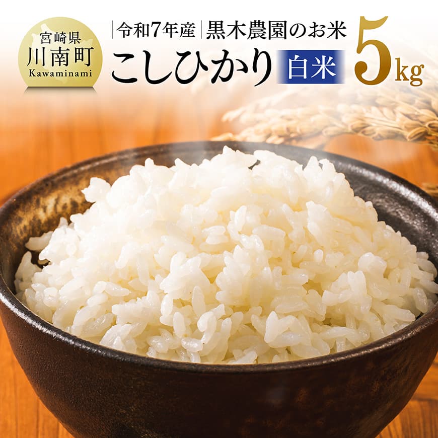 【ふるさと納税】※レビューキャンペーン※ 【令和7年産】黒木農園のお米「こしひかり(白米)」5kg - 米 お米 白米 こしひかり 国産 九州産 宮崎県産 送料無料 C03206