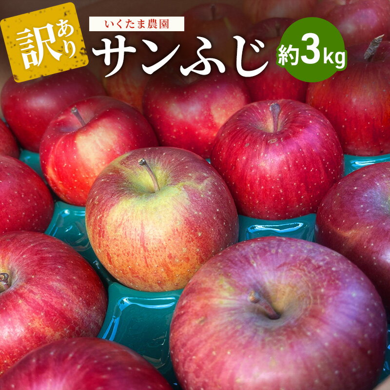 【ふるさと納税】【2026年 11月～発送】りんご 訳あり サンふじ 約 3kg フルーツ 果物 旬 不揃い 先行予約 　お届け：2026年11月中旬～12月下旬まで
