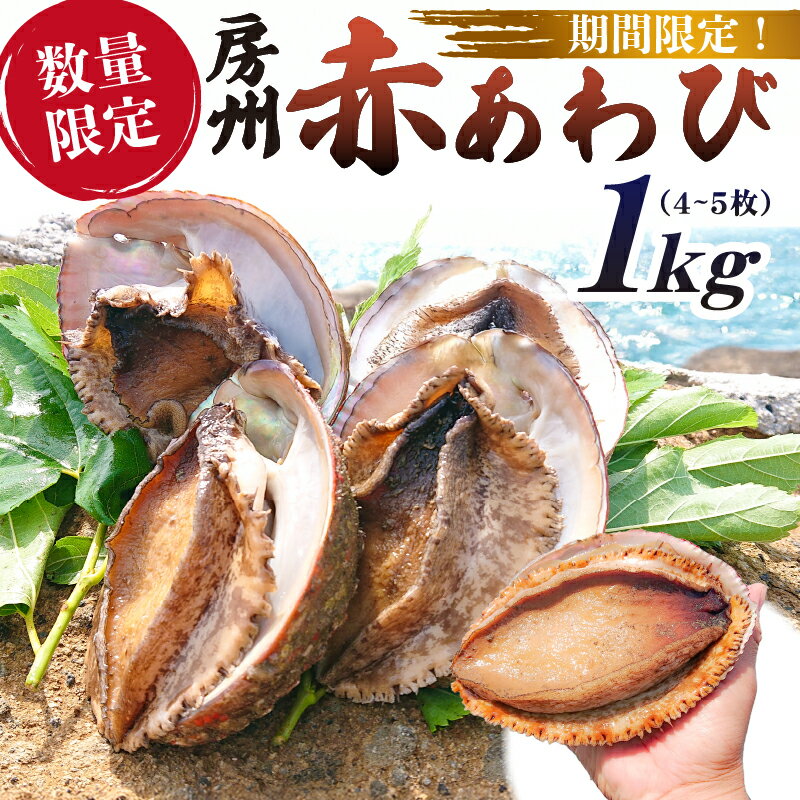 【ふるさと納税】 【期間限定・数量限定】房州赤あわび 1kg（4～5枚） 千葉県 南房総市 あわび 貝類 特産品 柔らかい 海産物 お刺身 踊り焼 ギフト ご褒美 おつまみ お取り寄せ グルメ 送料無料