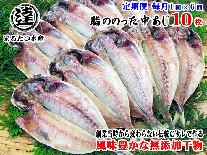 W06【ふるさと納税】【定期便 全6回】創業32年 自社工場 製造直売 完全無添加 伊豆・丸達水産 脂ののった中あじ ひもの10枚セット 毎月1回×6回