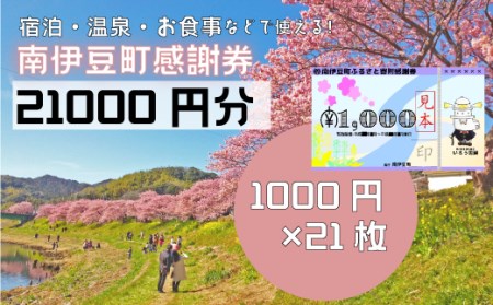 南伊豆町ふるさと寄附感謝券21枚