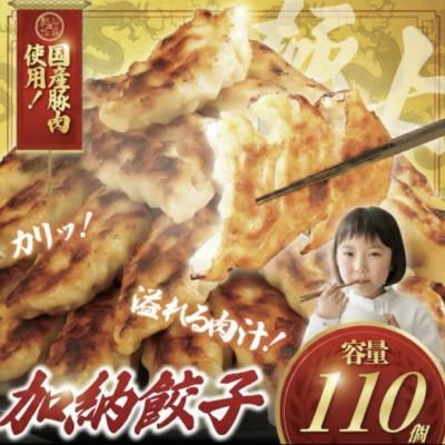 ふるさと納税 藤沢市 冷凍餃子(ぎょうざ)110個　冷凍便でお届けします。