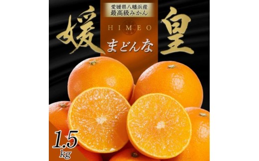 最高級みかん 媛皇 まどんな 1.5kg 愛媛県 八幡浜市 西宇和地区 希少品種【C25-366】【1717436】YWTAP307