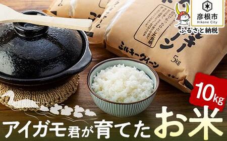 【令和6年産】有機JAS認証「アイガモ君が育てたお米」食べ比べ 5kg×2【フクハラファーム】