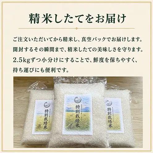 【先行予約】令和8年産 特別栽培米コシヒカリ 20kg新潟県田上町