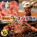 【ふるさと納税】焼肉専門店 厳選 大満足 焼肉 定期便 全6回 毎月配送 厚切り牛タン 中落ちカルビ ハラミサガリ 牛タン カルビ ハラミ サガリ 梅じお レモン塩 味付け肉 タレ漬け 牛肉 牛 肉 バーベキュー お取り寄せ 冷凍 大阪府 泉佐野市 送料無料 肉の泉佐野