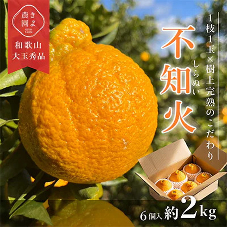 
            先行受付　不知火　希少な樹上完熟!　秀品大玉　6個入 ※2026年2月下旬～3月下旬頃に順次発送予定
          