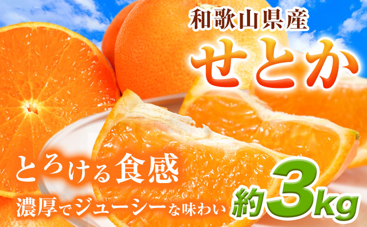 とろける食感!ジューシー柑橘せとか約3kg魚鶴商店《2026年2月下旬-3月下旬頃出荷》せとか柑橘---wsh_uot113_2g3g_25_20000_3kg---