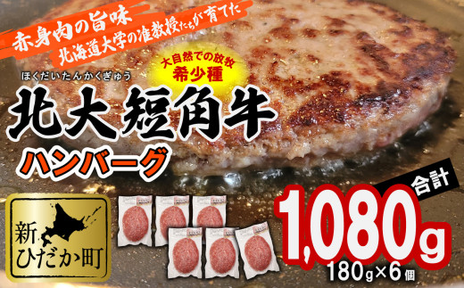 
＜2024年1月より発送＞ 北海道産 北大 短角牛 ハンバーグ 計 1080g (180g×6枚) ＜予約商品＞ 日本短角牛 ハンバーグステーキ 牛肉 希少 北海道大学
