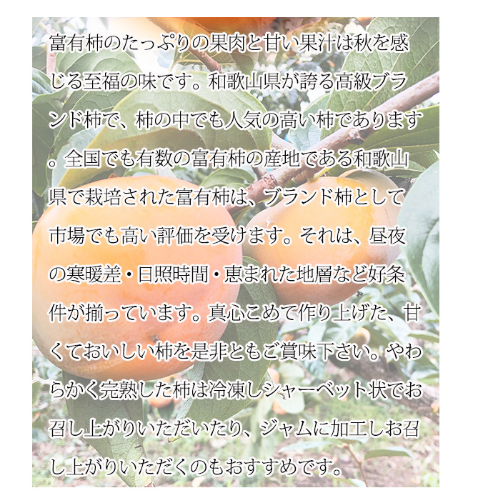 和歌山秋の味覚 富有柿 約7.5kg ※2025年11月上旬〜12月上旬頃に順次発送予定_イメージ3