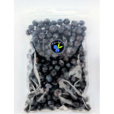 【ふるさと納税】【北海道十勝産 希少品種】冷凍ブルーベリー500g×2袋【配送不可地域：離島】【1677076】