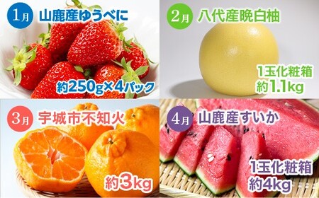 【 6か月 連続 定期便 】 熊本県 フルーツ 6ヶ月 定期便 果物 くだもの 旬 いちご 柑橘 スイカ メロン 柿 梨