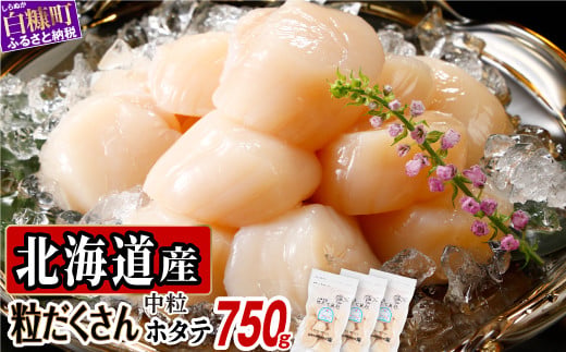 オホーツク産お刺身用ホタテ【750g（250g×3）】_K019-0708-A