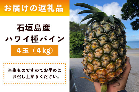 【先行予約】石垣島産 ハワイ種 パイン (4玉 約4㎏) 《6月上旬頃より順次発送》【 産地直送 沖縄 石垣 パイナップル フルーツ 】TP-5