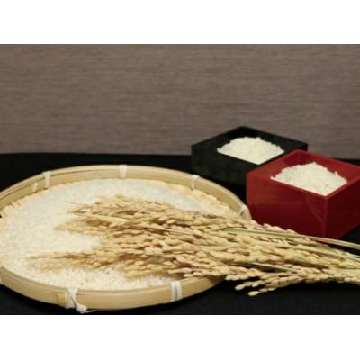 ふるさと納税 西脇市 兵庫県産【ヒノヒカリ】令和7年産・ 白米　10kg (10kg×1袋) |  | 02