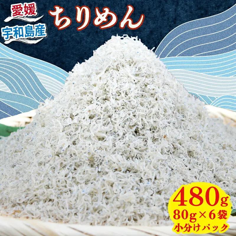 ちりめん 80g × 6袋 計 480g 時栄水産 しらす しらすしらす ちりめんちりめんちりめん D010-174002