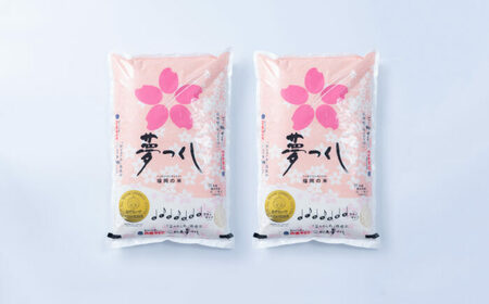 【令和6年産】果物屋さんが選んだ米 夢つくし 10kg [BGAG023]新米 ゆめつくし