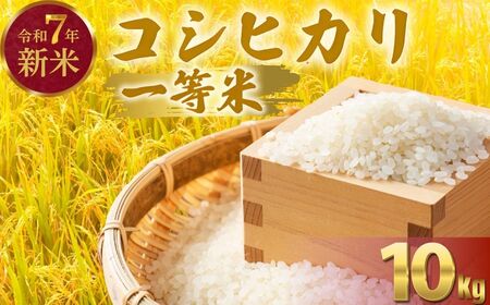 令和7年度新米 広島県産米 コシヒカリ 10kg 一等米 精米【 米 お米 新米 広島県産 おむすび ごはん ゴハン こめ コメ おにぎり 国産】※2025年10月より順次発送予定