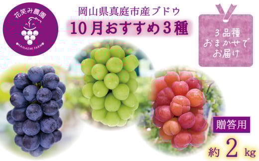 hana36.岡山　花笑み農園の『ぶどう３種セット』　10月おすすめセット　（約2kg3房）