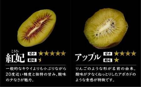 キウイフルーツ【先行予約 数量限定 11月発送】4種 2kg 12-17個 キウイ 詰め合わせ