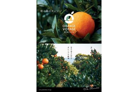 ＜特産品コンクール優秀賞受賞＞屋久島たんかんスライスママレード６個セット