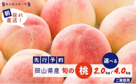 
            ＜選べる容量＞＜数量限定＞［なんばふぁーむ］岡山県産 旬の桃［ご家庭用］2.0kg（6～9玉）or 4.0kg（11～14玉）【2025年発送】
          
