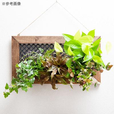 ふるさと納税 邑楽町 ハンギングボード 横型 大 壁掛け ウッドフレーム|09_chm-cq0101bb |  | 02