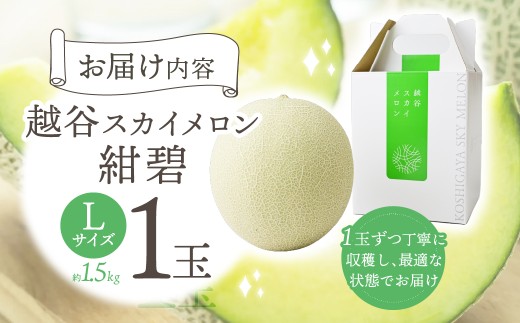 メロン 越谷スカイメロン 紺碧1玉【数量限定】| メロン めろん スカイメロン すかいめろん 水耕栽培メロン 水耕栽培めろん みずみずしい 爽やかな味 美味 1玉 1.5kg 贈答品 贈り物 ギフト プレゼント メロン めろん スカイメロン すかいめろん フルーツ 果物 くだもの 水耕栽培 人気 おすすめ 農業デザイン 埼玉県 越谷市
