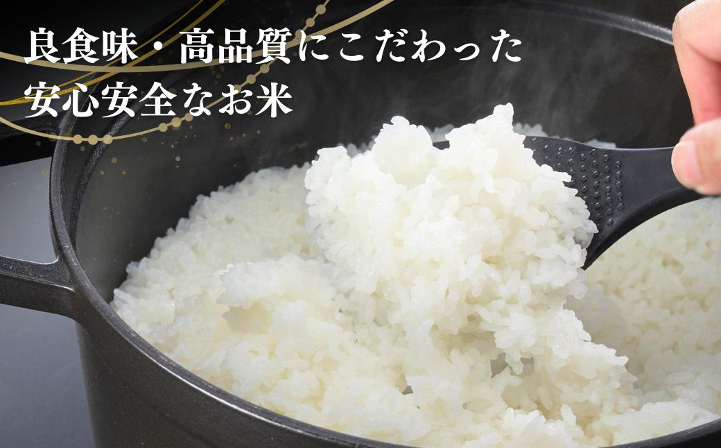 【令和7年産新米】 「新之助」 5㎏ 新潟県産 出雲崎町産 白米 精米 お米