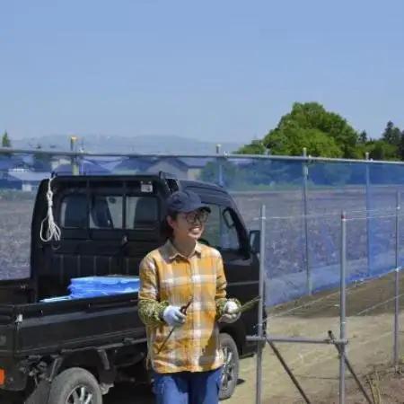 【先行予約】令和9年 山形県川西町産 雪国春アスパラガス (超極太)3L～4Lサイズ　250g【配送不可地域：離島・北海道・沖縄県・信越、北陸・近畿・中国・四国・九州】【1764693】