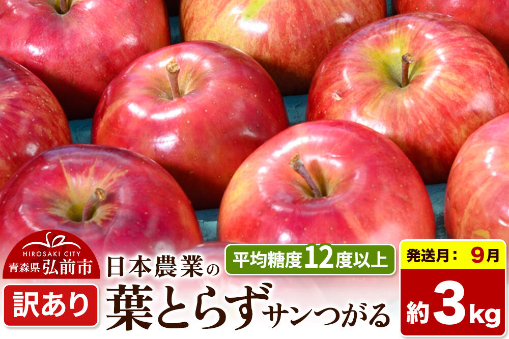 【26年9月クール便発送】りんご 葉とらずサンつがる【訳あり】約3kg 平均糖度12度以上 青森県産 果物 フルーツ 林檎 リンゴ くだもの 不揃い 規格外 [家庭用 産地直送 アップル 青森県 弘前