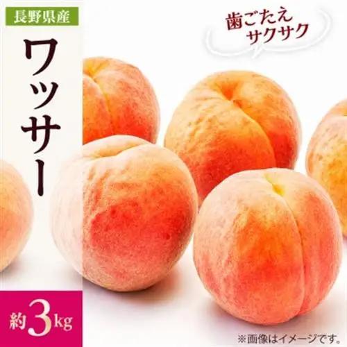 【2025年発送】フルーツ王国　長野県信州直送　ワッサークイン　約3kg(9～12玉)【配送不可地域：離島】【1530502】