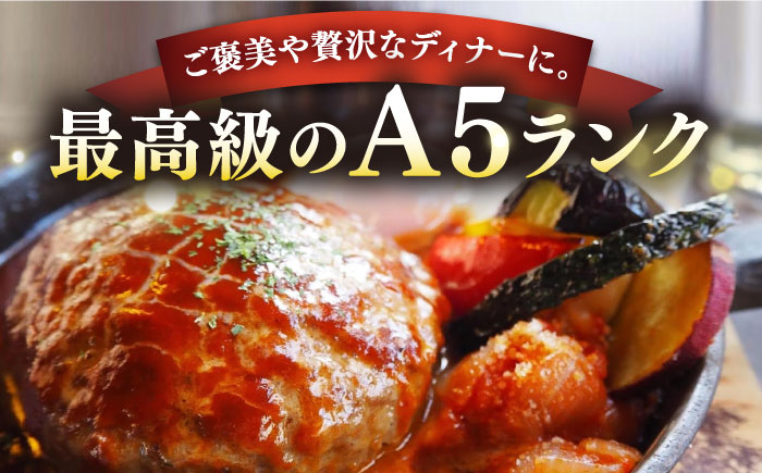 【全2回定期便】壱岐牛 A5ランク ギフトセット《壱岐市》【KRAZY MEAT】 ステーキ 赤身 牛肉 肉 贈答 プレゼント ギフト ハンバーグ ステーキ ジャーキー 詰め合わせ [JER089]