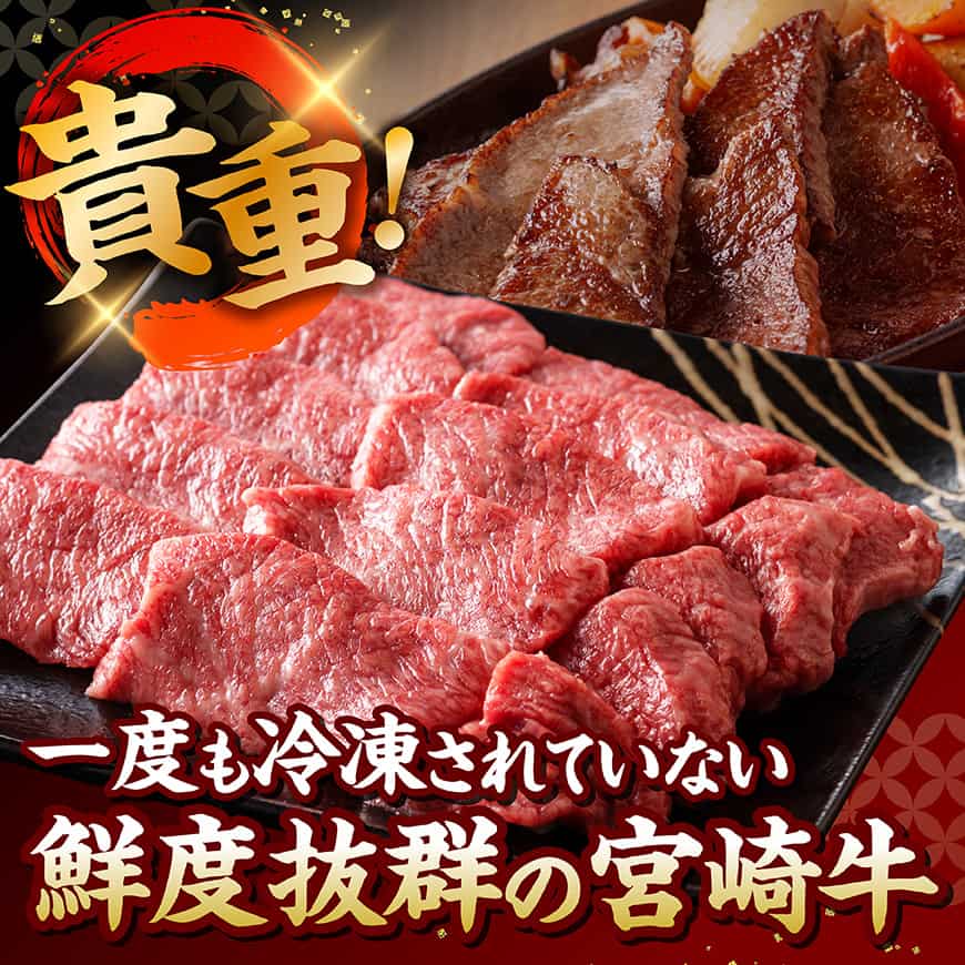 【A5等級】【新鮮チルド便】宮崎牛上カルビ焼肉 600g【 肉 宮崎 焼肉 牛肉 おかず A5 】 [B13202] 600g
