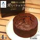 【ふるさと納税】 ガトーショコラクラシック 4号サイズ x 1個 ケーキ 焼菓子 チョコレート スイーツ バレンタイン ご褒美 ホワイトデー お取り寄せ 人気 ランキング おすすめ ギフト 小松市 こまつ 石川県 ふるさと 納税 009063【E'rable ショコラトリー パティスリー】