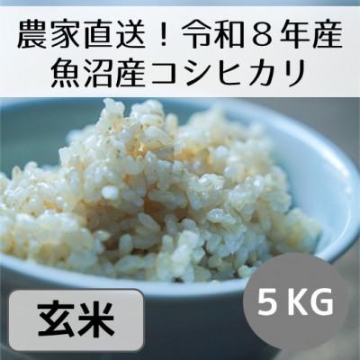 ふるさと納税 十日町市 【先行予約・令和8年産】新潟県魚沼産コシヒカリ「山清水米」玄米5kg