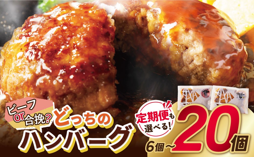 どっちのハンバーグ!?デミグラスソース20個セット