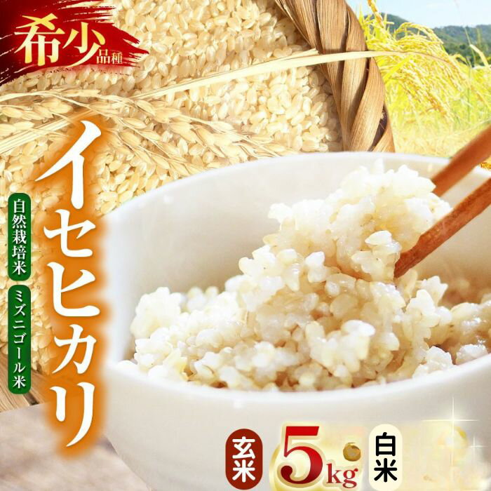 【ふるさと納税】【令和7年産】自然栽培 イセヒカリ 5kg ≪白米 or 玄米≫ 選べる 長野県産 | 米 イセヒカリ 希少 自然栽培 白米 玄米 コメ お米 おこめ 信州米 5kg 肥料不使用 天日干し 塩尻市 長野県 信州
