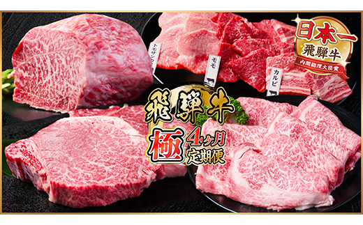 【毎月定期便】飛騨牛 極定期便 計2.2kg【冷蔵便】全4回【配送不可地域：離島】【4055509】