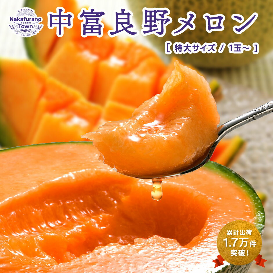 【ふるさと納税】【2025年発送】【鈴和産】遠藤ファームの中富良野メロン　特大（1玉2kg／2玉4kg）