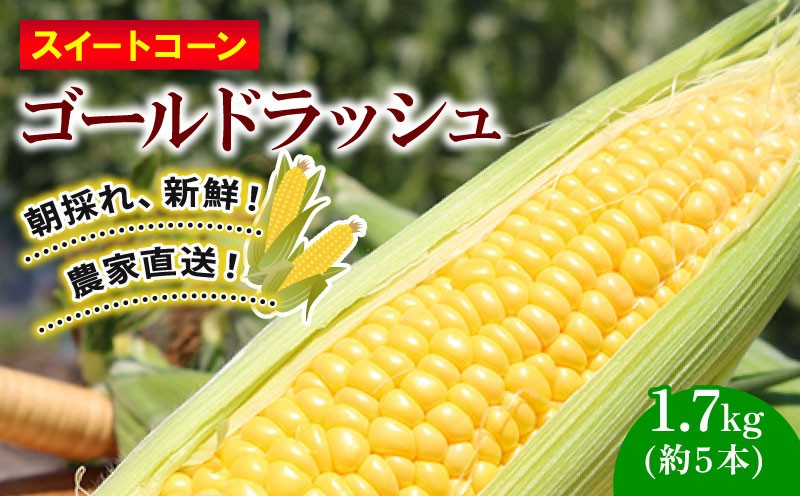 
                  【先行予約】訳あり スイートコーン (ゴールドラッシュ) 1.7kg（約5本） | 2027年発送 6月 早期予約 贈答用 ギフト用にも スイート コーン 野菜 トウモロコシ とうもろこし 厳選 人気 夏 やさい 旬 甘い 先行予約 産地直送 数量限定 冷蔵 期間限定 季節限定 おすすめ 高知県 南国市
                