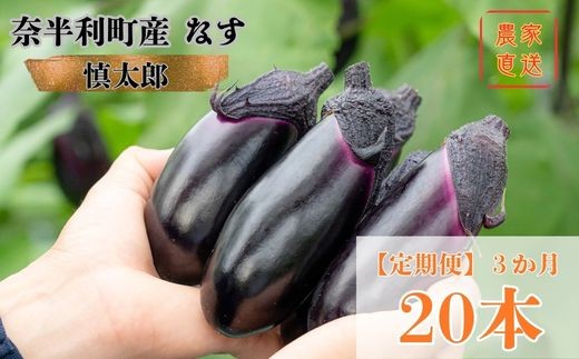 131902　奈半利町の茄子【慎太郎】定期便20本  ナス なす 産地直送 野菜  新鮮