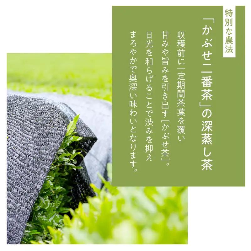 ホッとするね いつもの お茶 300g（ 100g×3本 ） KN162-002-02 茶